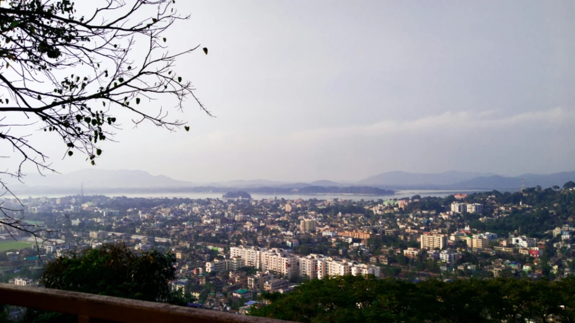 Cover photo of C. Brahma